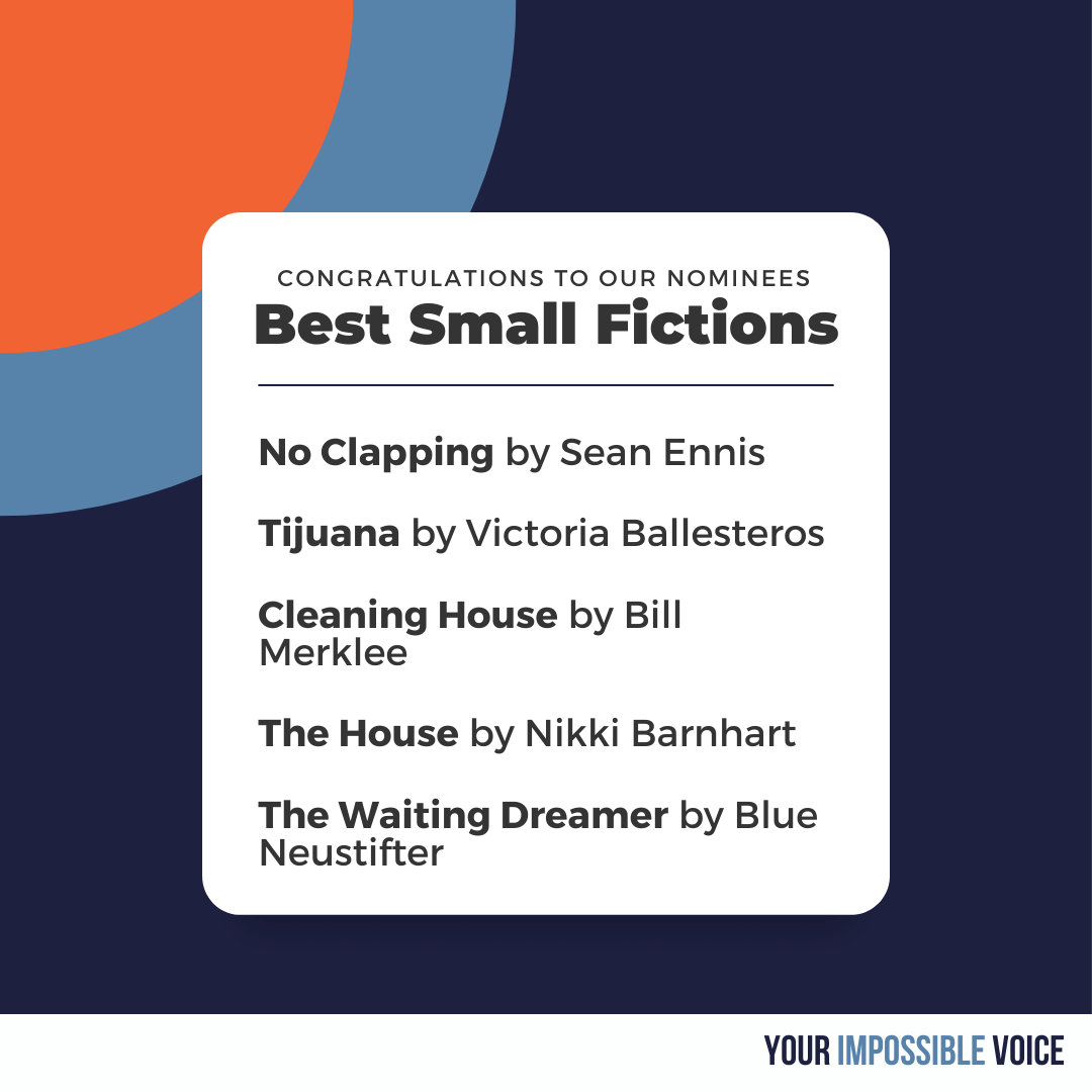 2024 Best Small Fictions • Your Impossible Voice