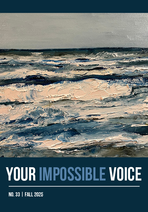 Cover of YIV 33 with a painting of Ocean Beach