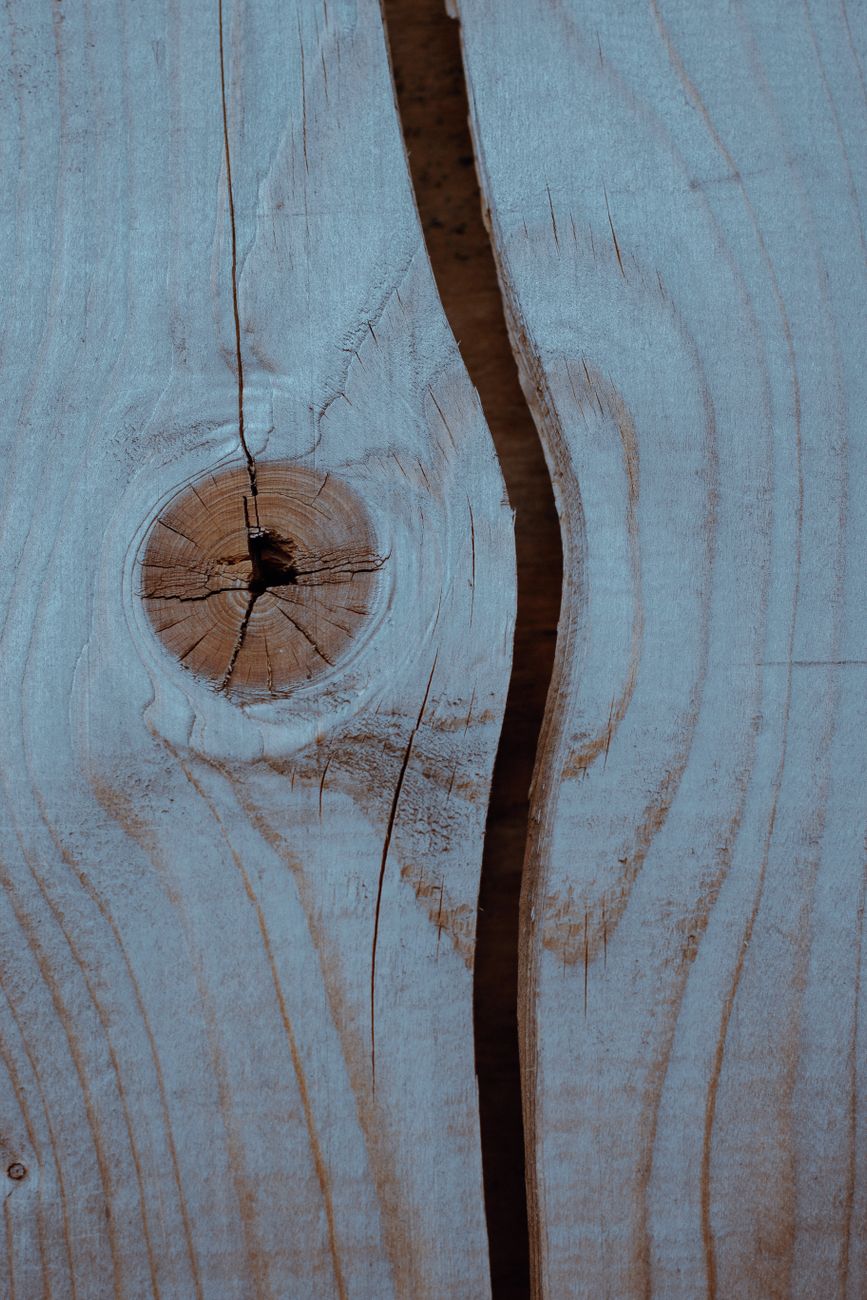 close up photo of wood