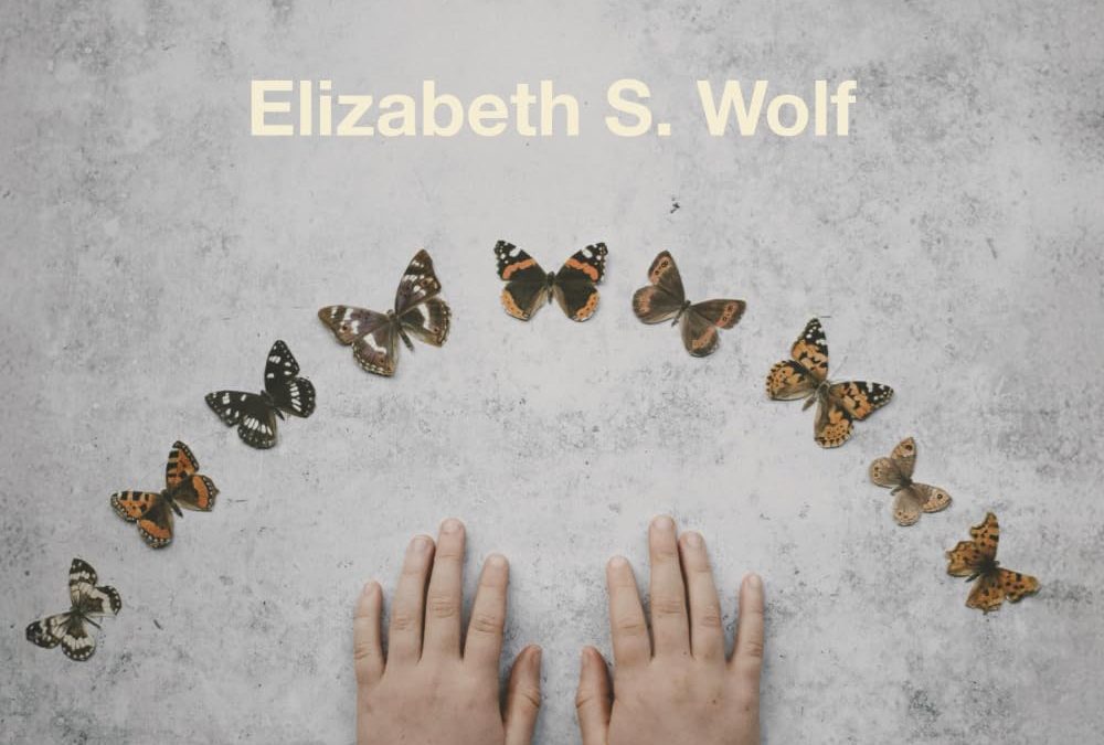 Review: Elizabeth S. Wolf’s Parenting in the Age of Columbine